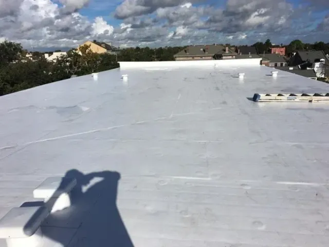 TPO Roofing